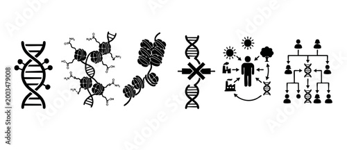DNA Structure and Epigenetics Icon Set: Chromatin, Histone Modification, Gene Expression, and Heredity Inheritance Symbols for Scientific Research, Medical Genetics, and Biological Education Diagrams.