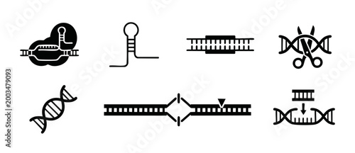 CRISPR Gene Editing Icons Set, DNA Modification and Genetic Engineering Symbols, Molecular Biology Process Vector Graphics, Cas9 Protein, Helix Cutting, Genomic Sequencing, Biotechnology Research Elem