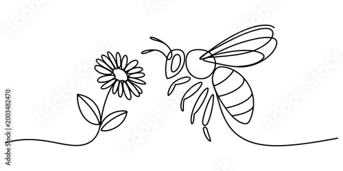 Continuous single line drawing of a honey bee flying towards a small daisy flower showing simple minimalist nature art style Vector, illustration