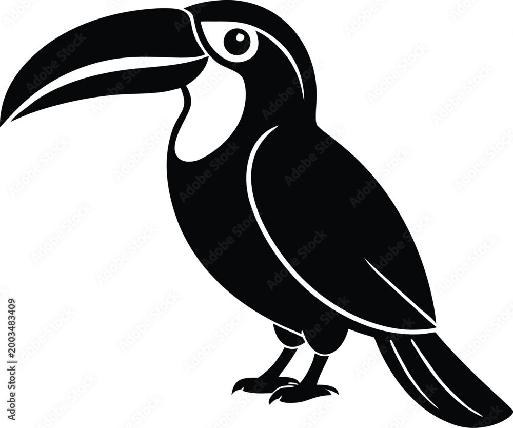 Obraz premium Toucan tropical bird jungle animal vector graphic