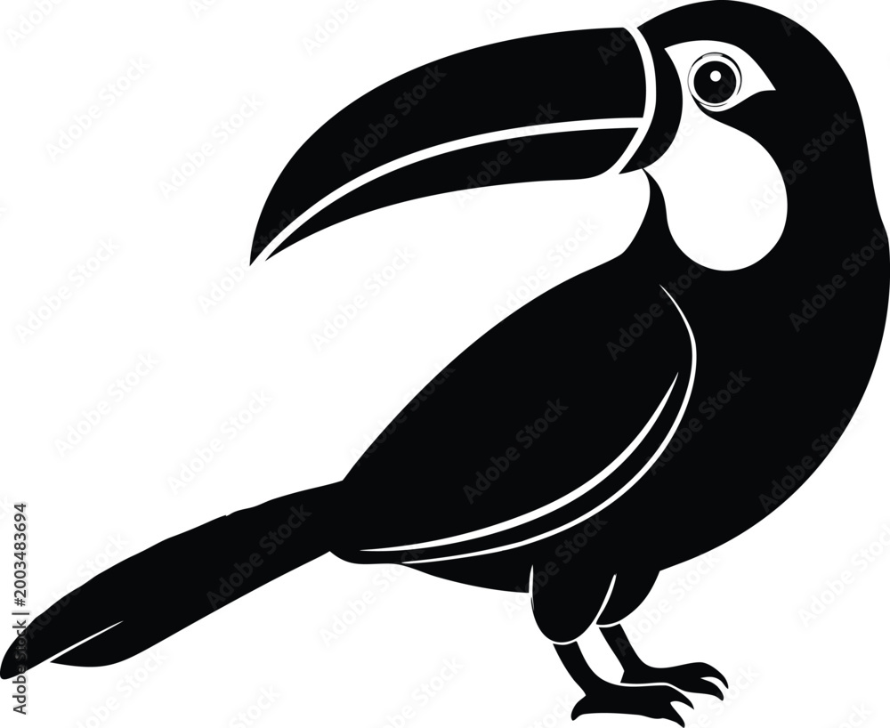 Fototapeta premium Toucan tropical bird vector illustration graphic