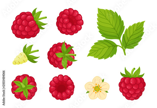 Raspberry set with berries, leaves and flower. Hand drawn trendy flat style isolated. Ideal for healthy food icons, packaging, menus, packaging, textiles, stickers and food design. Vector illustration
