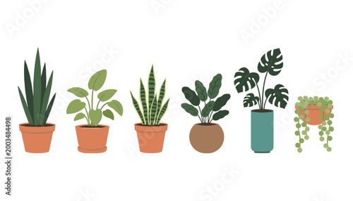 Collection of various indoor potted house plants including snake plant and monstera in flat design vector style.