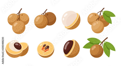 Bild auf Leinwand Longan fruits isolated on white background