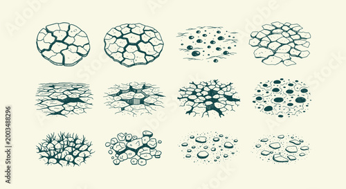 Obraz na płótnie Vintage Hand Drawn Cracked Earth Textures Set Arid Desert Ground Soil Engraving