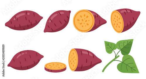 Foto Sweet potato illustrations