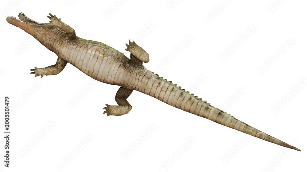 Fototapeta premium Detailed 3D rendering of a crocodile