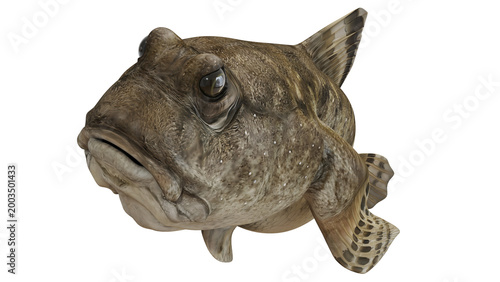 Tableau sur toile Detailed 3D rendering of a realistic fish.