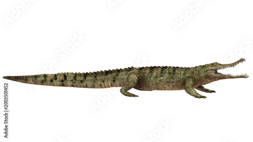 Detailed side view of a crocodile on white background.