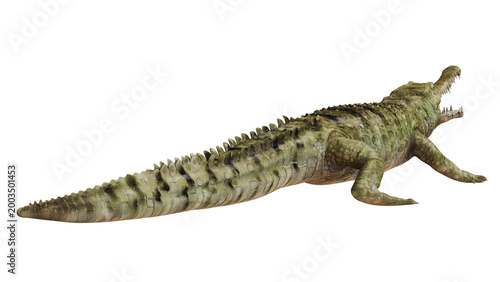 Photos Large crocodile resting with open mouth