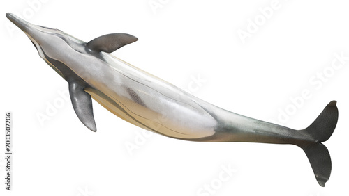 Foto Detailed illustration of an extinct ichthyosaur.