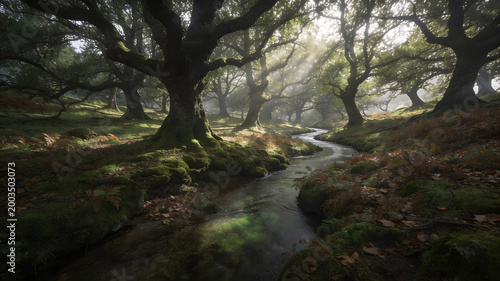 A serene and atmospheric image of a winding stream flowing through a lush forest. Ideal for conveying tranquility, nature, and the beauty of the outdo