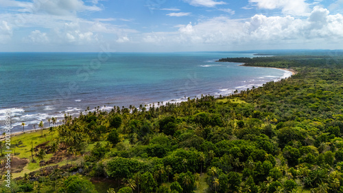 Aerial view of a lush tropical coastline on the Caribbean side of Panama near Colón and Gatun Lake. Dense green rainforest and rows of palm trees stretch along a curving shoreline