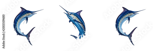 Photos Playful Blue Dolphin Leaping PNG, Marine Mammal Ocean Wildlife Isolated on Transparent Background, Intelligent Sea Creature Clipart