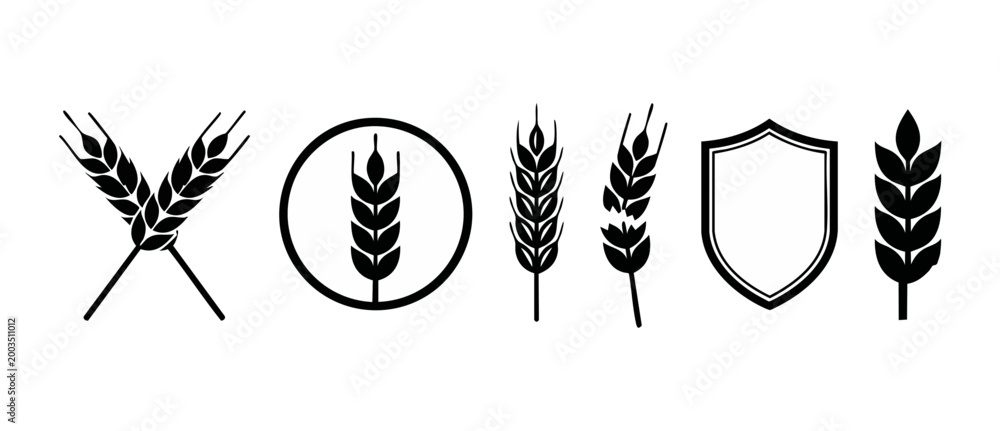 Fototapeta premium Wheat Ears Vector Icons Set, Organic Grain Agriculture Symbols, Simple Black Farm Logo Design Elements, Cereal Crop Silhouette Collection, Healthy Food Graphic Shapes for Branding and Packaging Identi