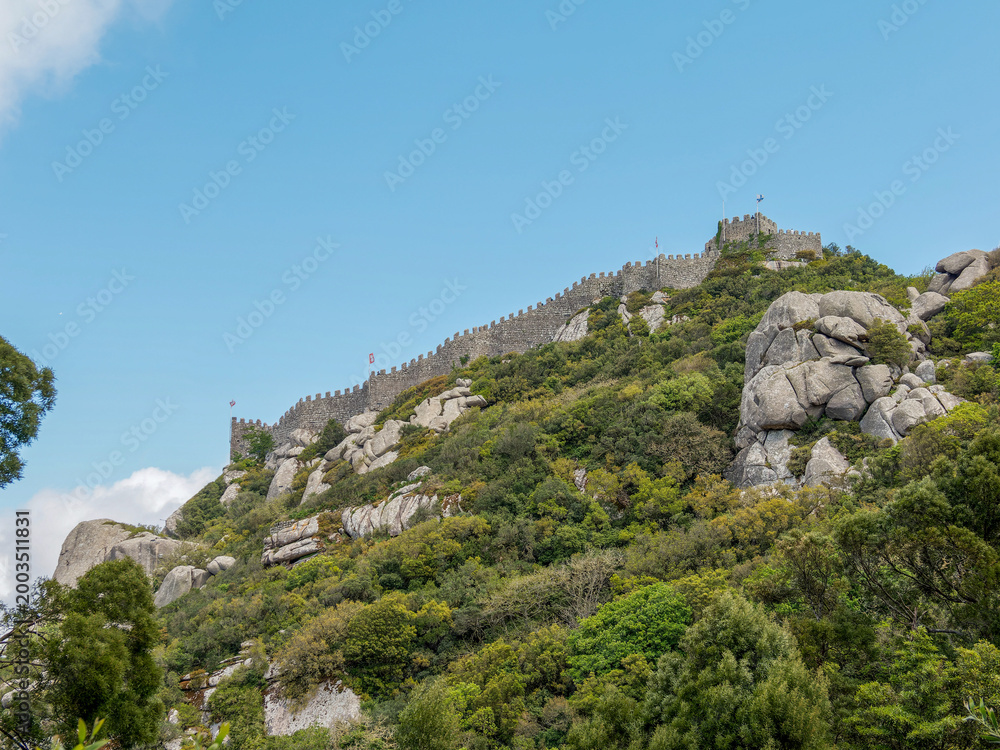 Fototapeta premium Castelo dos Mouros à Sintra (Portugal), remparts médiévaux dominant une colline boisée sous ciel bleu