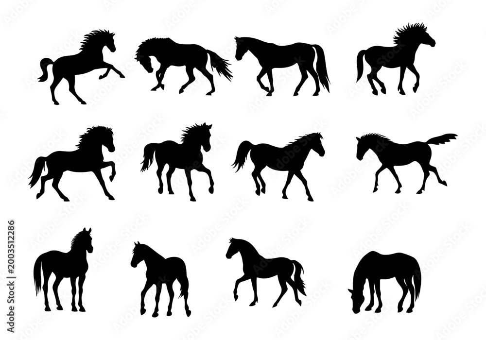 Obraz premium Black silhouette collection of horses in various dynamic poses