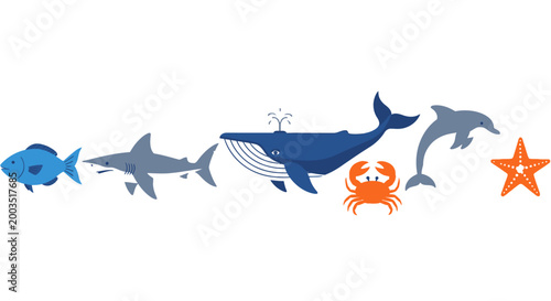 Marine life illustration fish shark whale dolphin crab starfish ocean animals