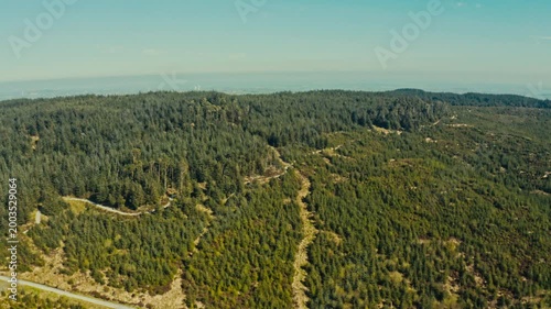 Drone view of spring countryside forest park