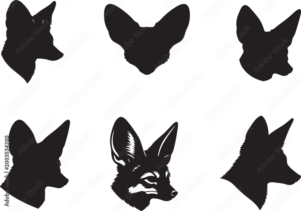 Fototapeta premium Fennec fox head.