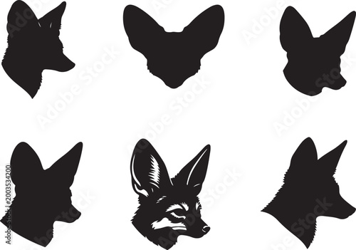 Fennec fox head.