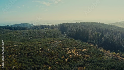 Drone view of spring countryside forest park