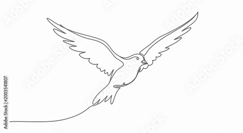 Bird Flying with Spread Wings High.