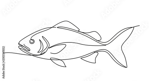 Fish Swimming in Water Column Profile.