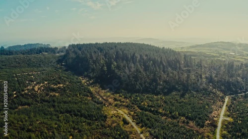 Drone view of spring countryside forest park