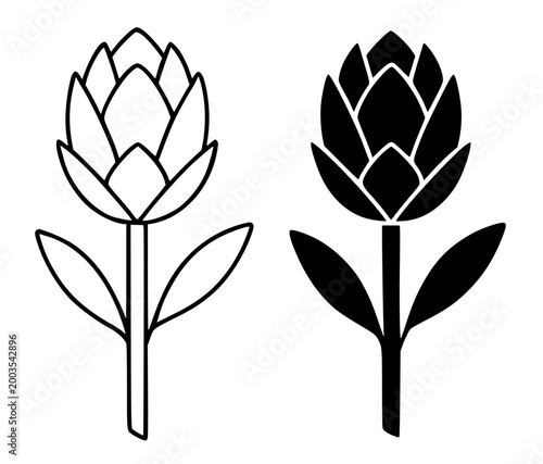 Protea minimalist icon in outline and silhouette style