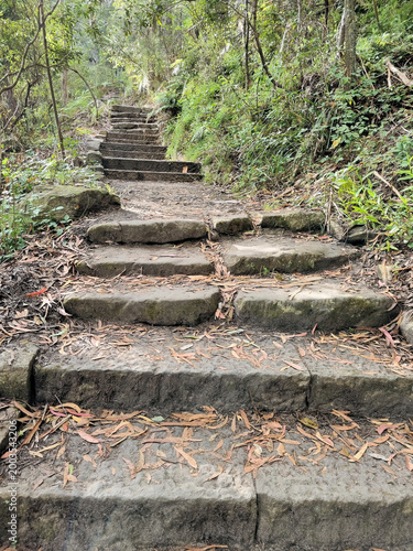 Hornsby Heritage Steps. Dressed sandstone steps from the Great Depression Era in the Australian Bush north of Sydney Australia