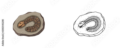 Fossil cartoons in colored and outline styles depicting a prehistoric creature skeleton embedded in stone for paleontology science on white background