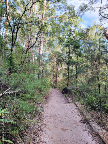 Hornsby Heritage Steps. Dressed sandstone steps from the Great Depression Era in the Australian Bush north of Sydney Australia
