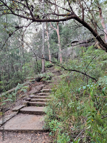 Hornsby Heritage Steps. Dressed sandstone steps from the Great Depression Era in the Australian Bush north of Sydney Australia