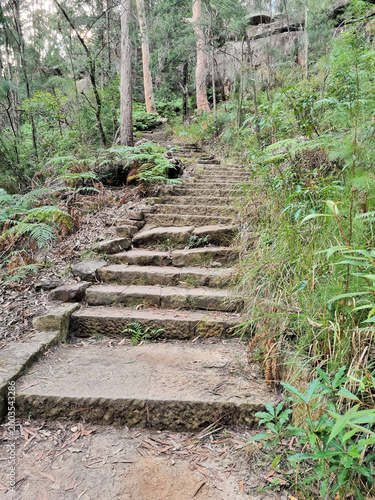 Hornsby Heritage Steps. Dressed sandstone steps from the Great Depression Era in the Australian Bush north of Sydney Australia