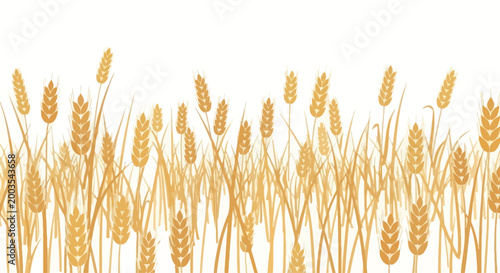 Golden Wheat Field Horizon, Harvest Agriculture Background