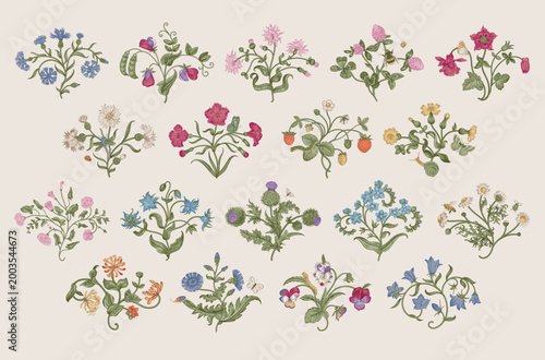 Flowers of the meadow. Set. Vintage vector floral illustration. Motif. Colorful