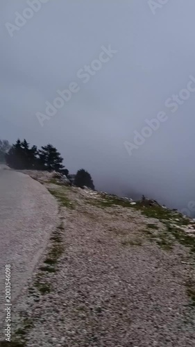 Atmospheric Mountain Road Covered in Dense Fog and Mist with Pine Trees, Mysterious Rocky Landscape with Low Visibility for Driving, Eerie Winter Nature Scene