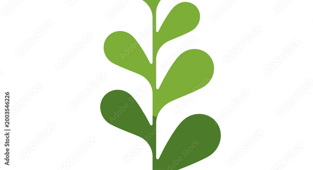 Fototapeta premium Simple green plant stem with leaves, isolated on white background, clean design