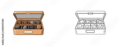 Rock samples illustrations in flat color and outline styles depicting an organized collection of minerals in a wooden case for education on white background