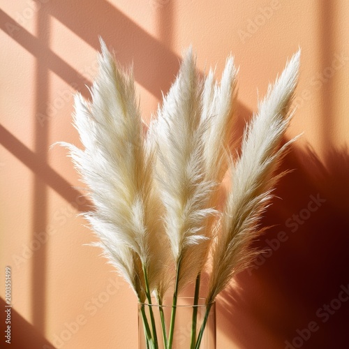 Pampas Grass in a Clear Vase on a Surface With Warm Light Shining From the Wi...