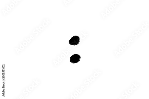 Tableau sur toile Hand drawn black paint brush colon punctuation mark