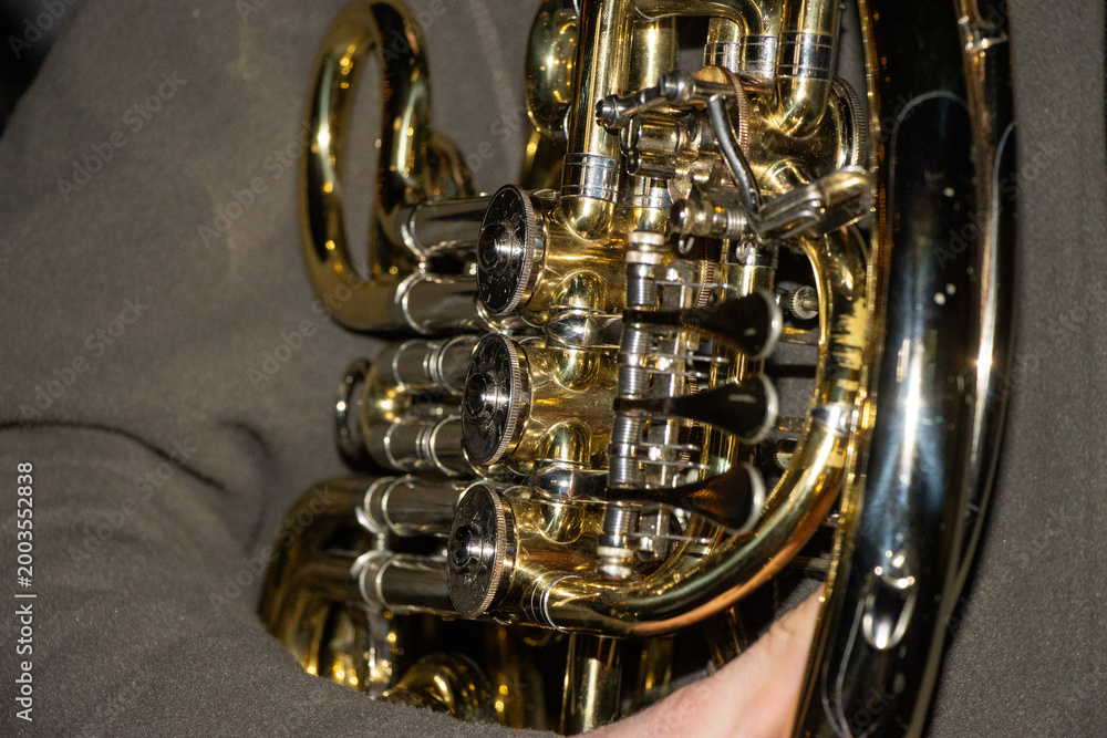 Obraz premium Waldhorn