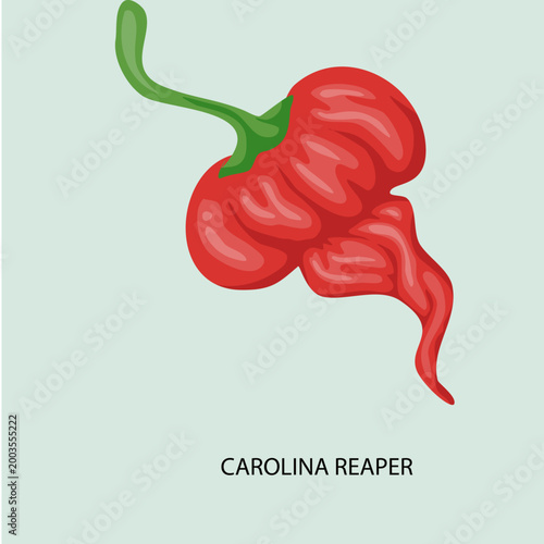 Red Carolina Reaper Chili Pepper
