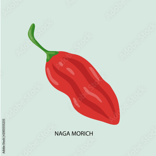 Naga Morich Chili Pepper