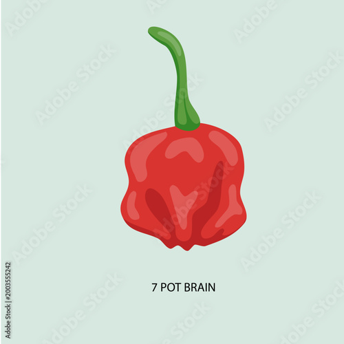 Red Savina Habanero Pepper