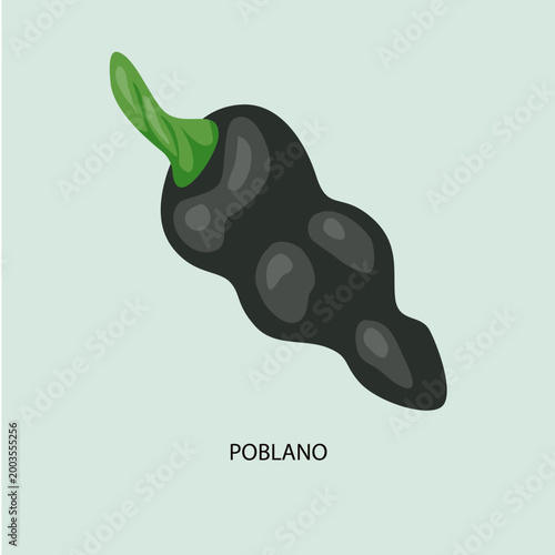 Black Jalapeno Chili Pepper