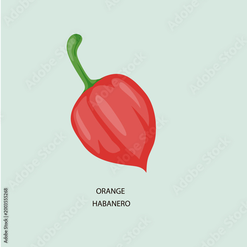Orange Habanero Chili Pepper