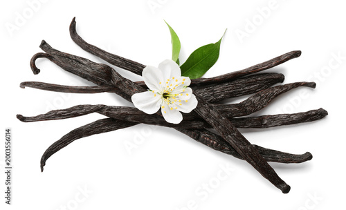 Vanilla pods and flower isolated on white, top view