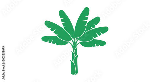 Green Banana Tree Silhouette Icon Vector Illustration